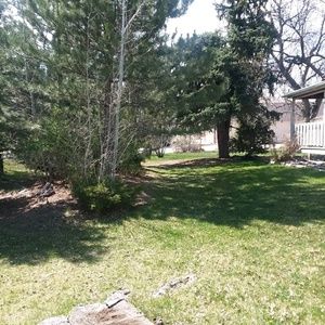 Meet your Posher, Arlene